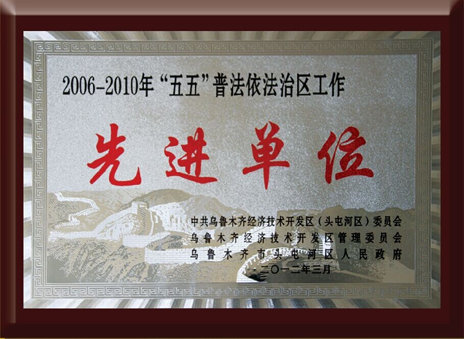 2006-2010自治区先进单位