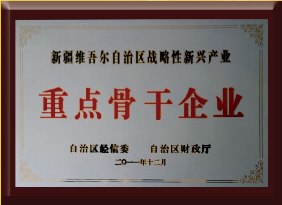 自治区战略重点骨干企业