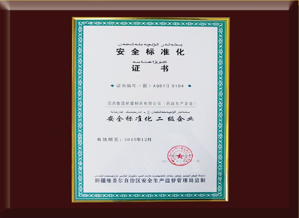 安全标准化证书