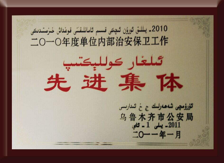 治安保卫工作先进集体